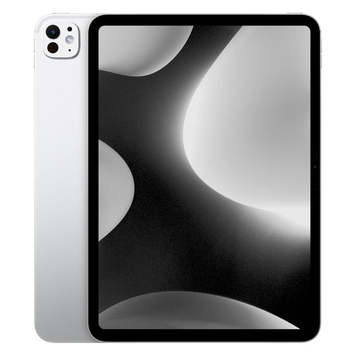 iPad Pro 5 16/2To WiFi 11" Verre nano-texturé (2024) Argent