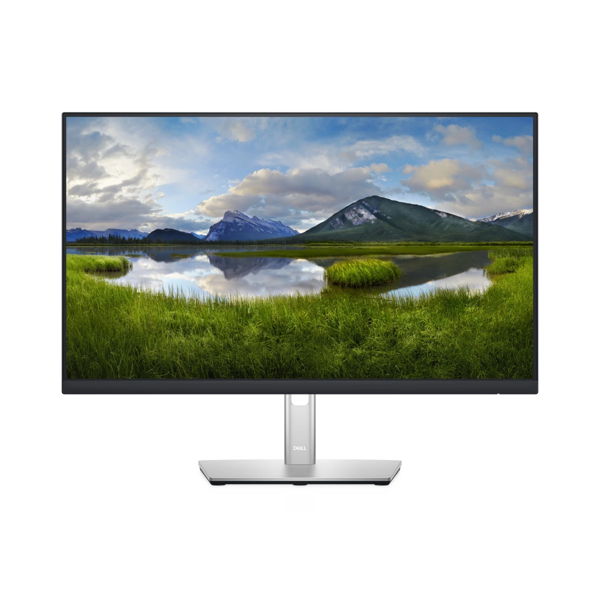 Monitor Dell P2422H 24" FHD LED