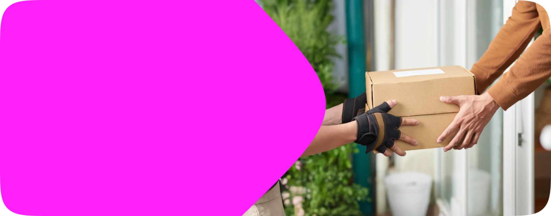 banner photo desktop