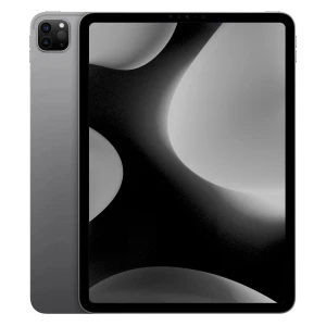 iPad Pro 5 16/2To WiFi + 5G 12.9" (2021) Gris Sidéral