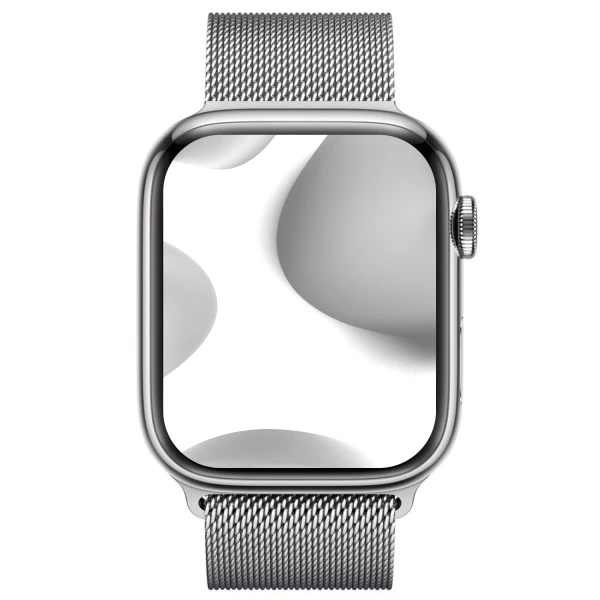 Apple Watch Series 9 GPS + Cellular Stainless steel 45 mm Silver